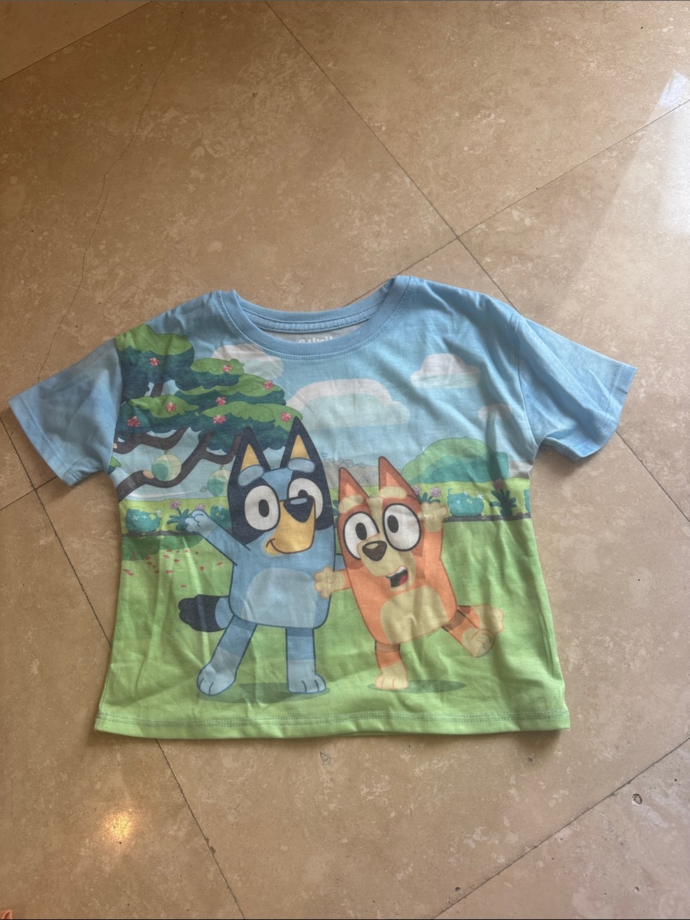 Boys Blue & Green Cartoon Character Short Sleeve Tee